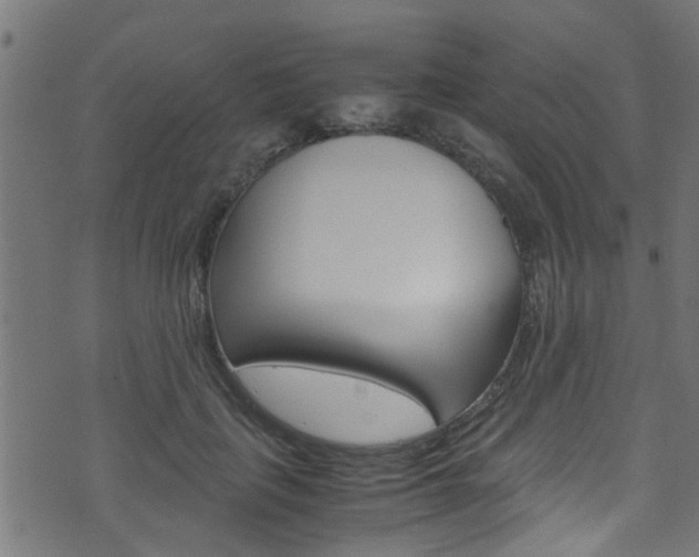X0000071790651200606300943