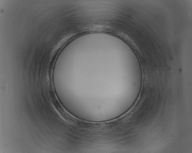 X0000071790674200606300942
