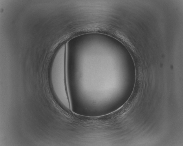 X0000071790681200606300942