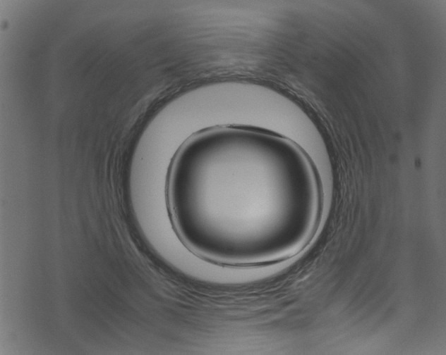 X0000071790693200606300942