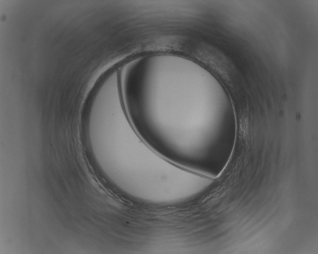 X0000071790724200606300941