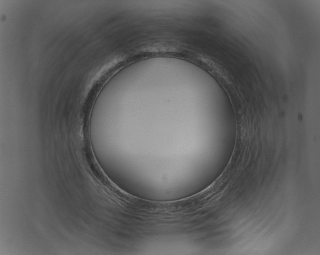 X0000071790727200606300941