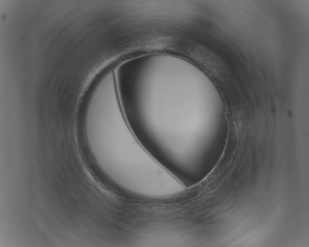 X0000071790728200606300941