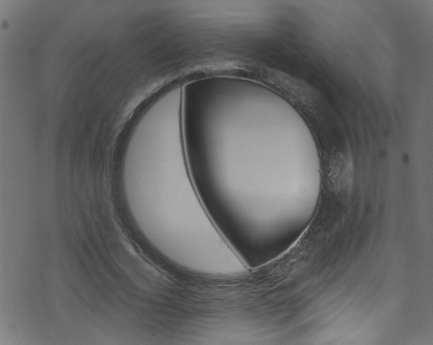 X0000071790732200606300941