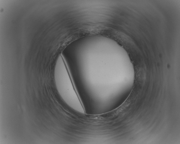 X0000071790752200606300941