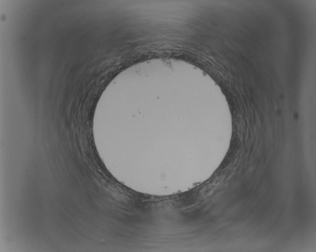X0000071790769200606300941