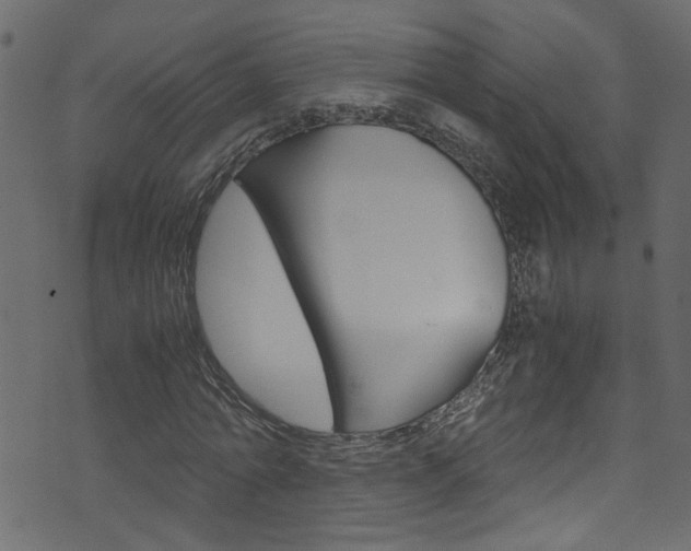 X0000071790774200606300941