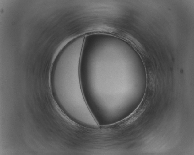 X0000071790788200606300941