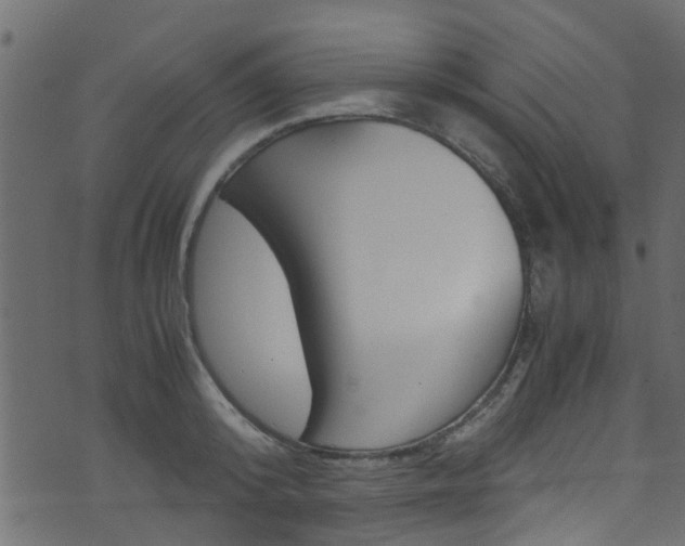 X0000071790800200606300940