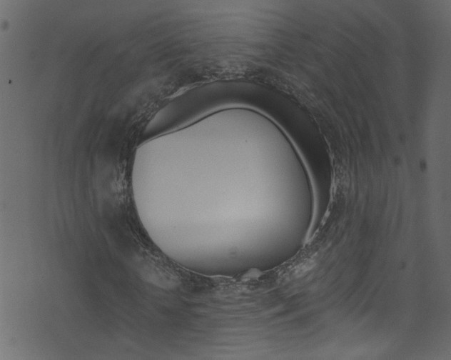 X0000071790818200606300939