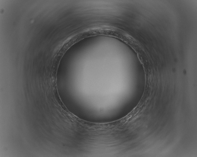 X0000071790822200606300939