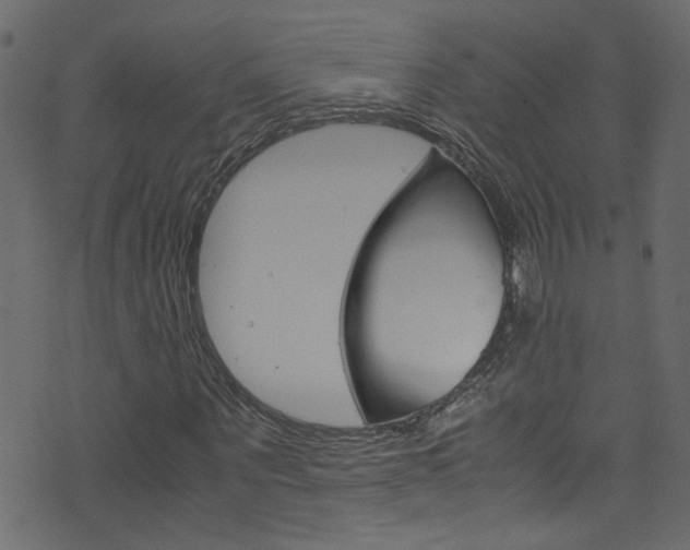 X0000071790867200606300939