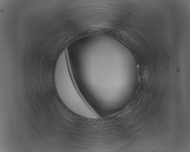 X0000071790868200606300939