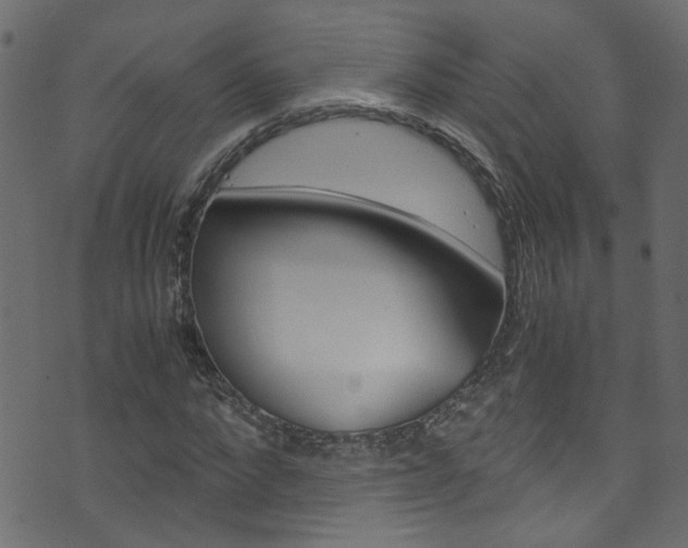 X0000071790872200606300939