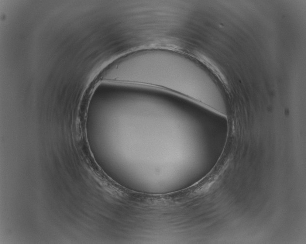 X0000071790876200606300939