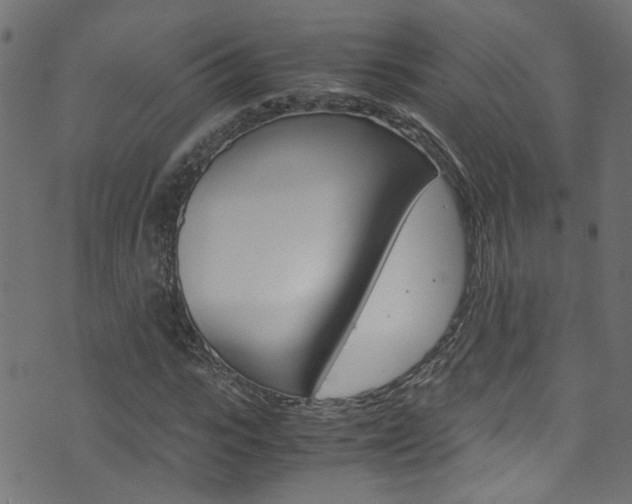 X0000071790919200606300938