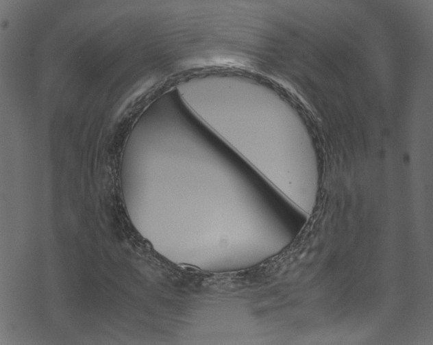X0000071790967200606300938