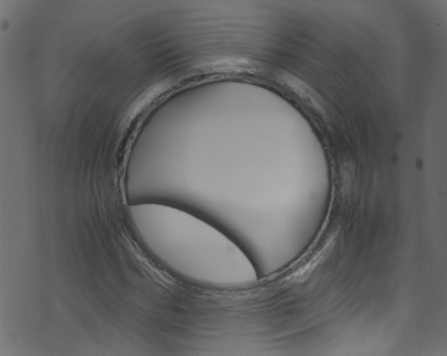 X0000071790970200606300938