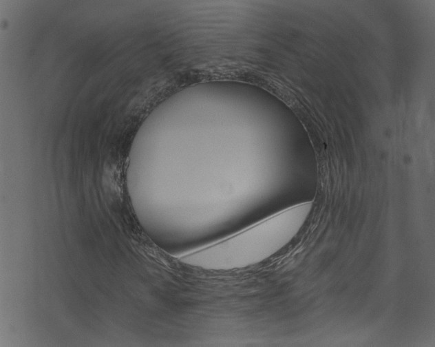 X0000071791010200606300936