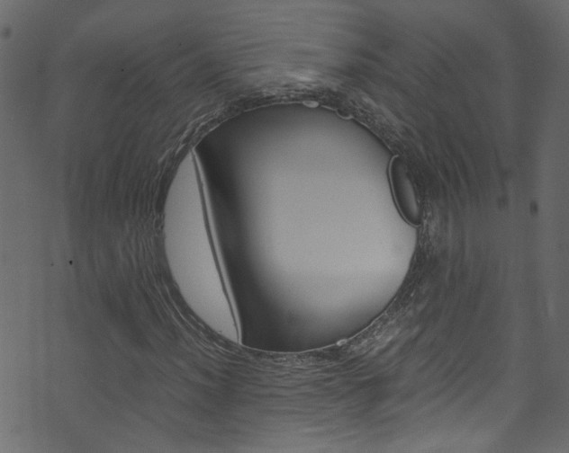 X0000071791012200606300936