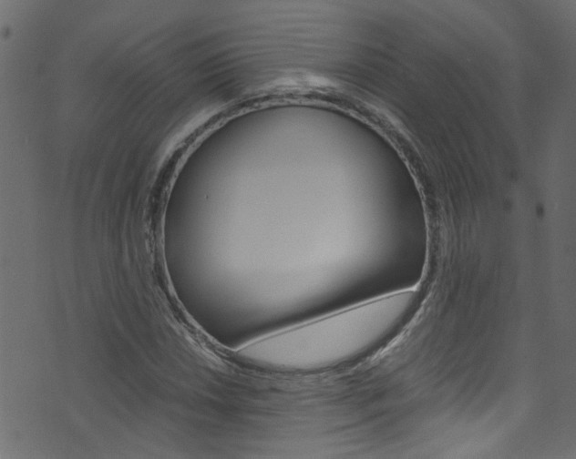 X0000071791018200606300936