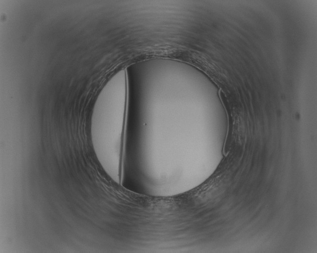 X0000071791058200606300936