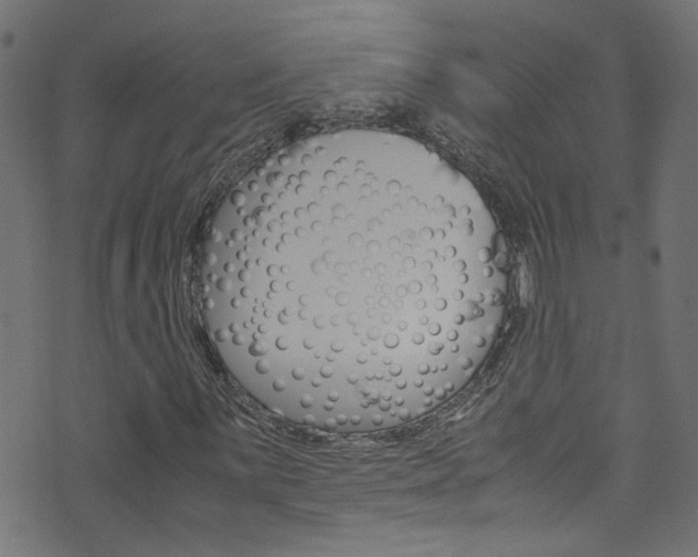 X0000071791059200606300936