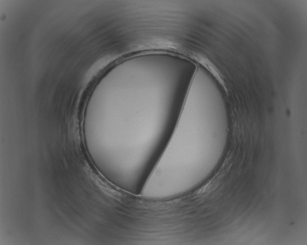 X0000071791072200606300936