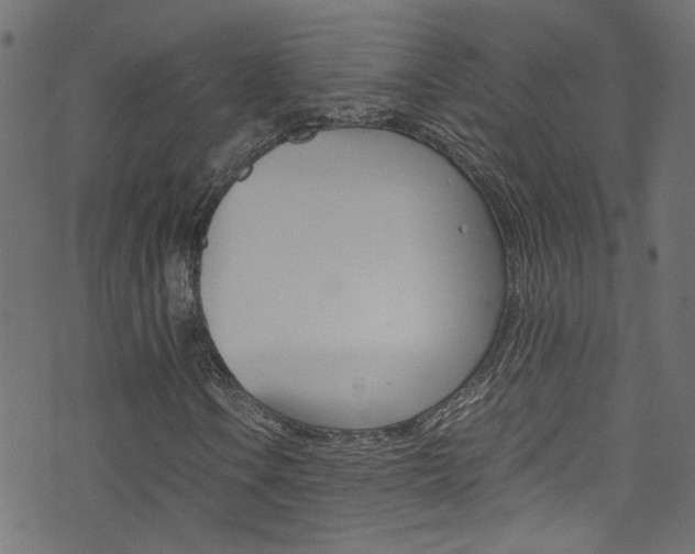 X0000071791106200606300935