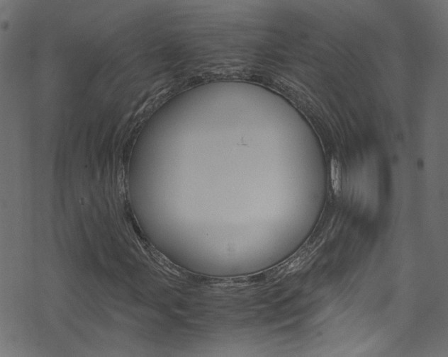 X0000071791107200606300935