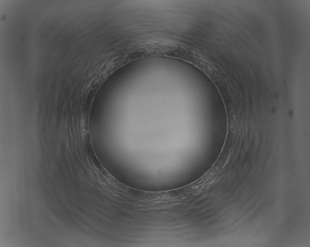 X0000071791108200606300935