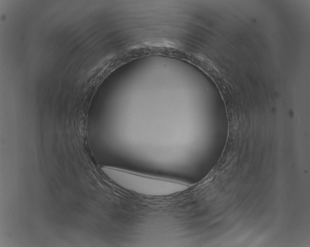 X0000071791110200606300935