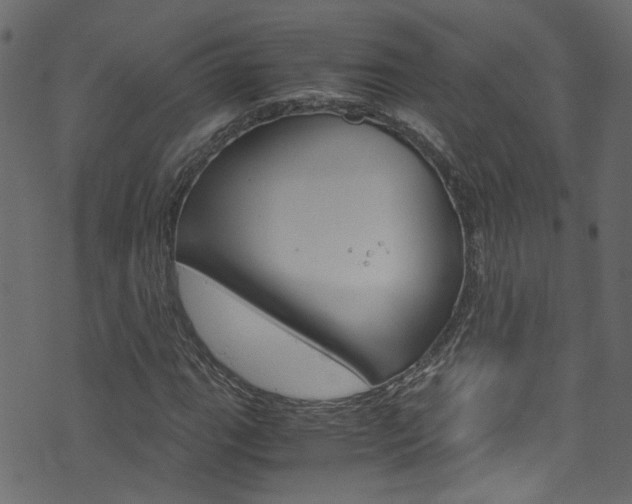 X0000071791111200606300935
