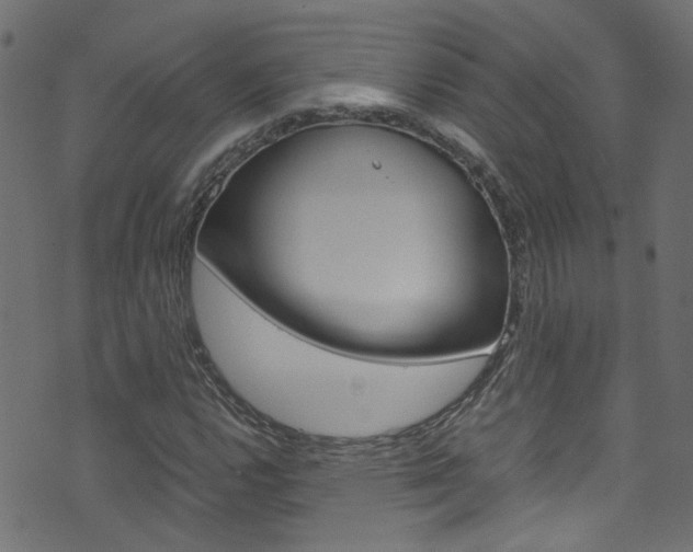 X0000071791112200606300935