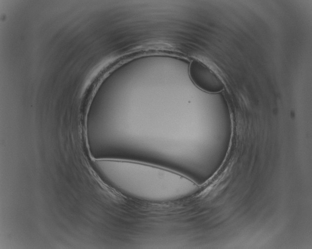 X0000071791115200606300935