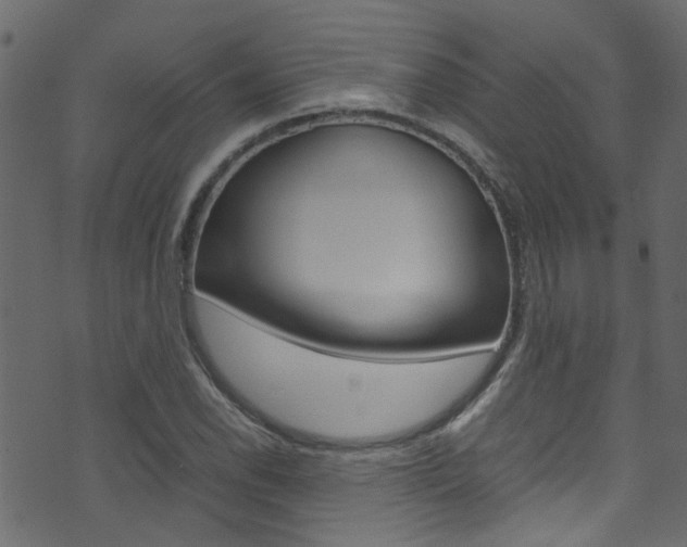 X0000071791118200606300935