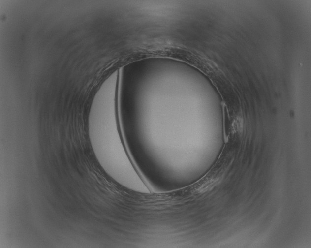 X0000071791156200606300935