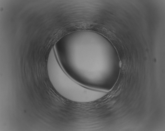 X0000071791202200606300933