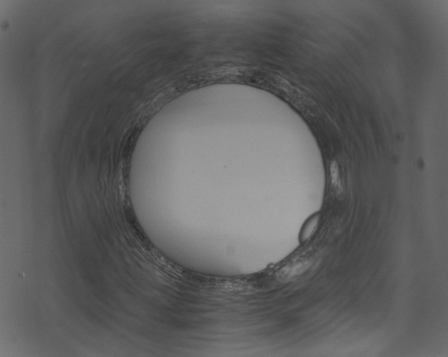 X0000071791203200606300933