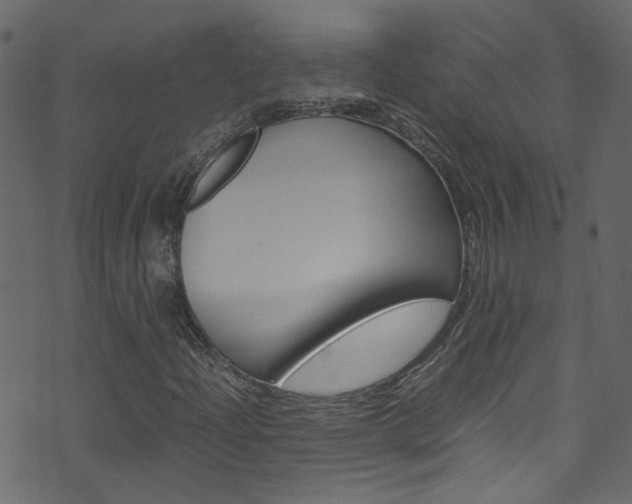 X0000071791204200606300933
