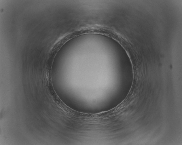 X0000071791206200606300933