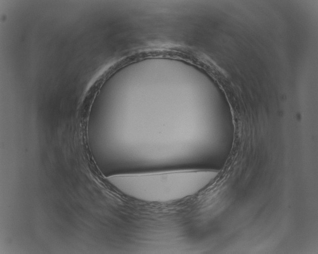 X0000071791208200606300933