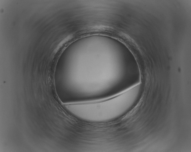 X0000071791210200606300933