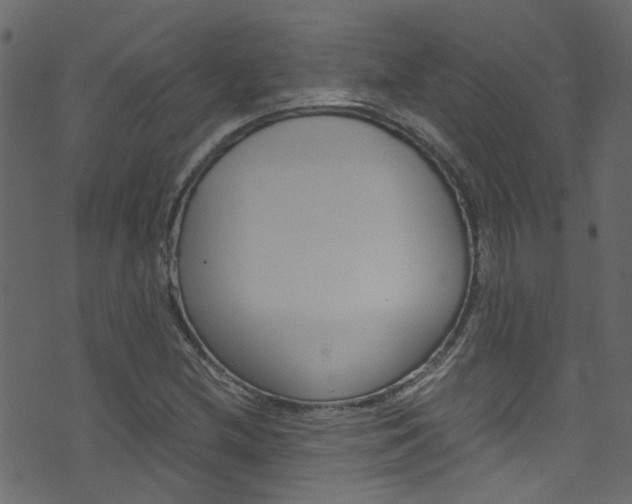 X0000071791212200606300933
