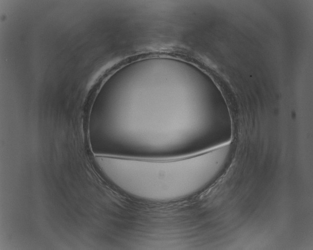 X0000071791214200606300933