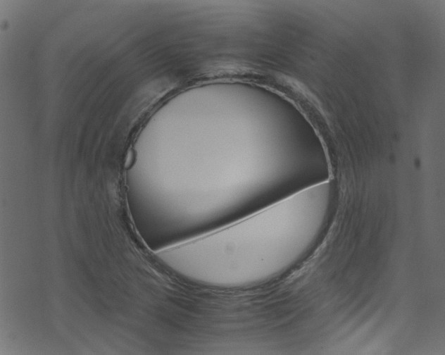 X0000071791217200606300933