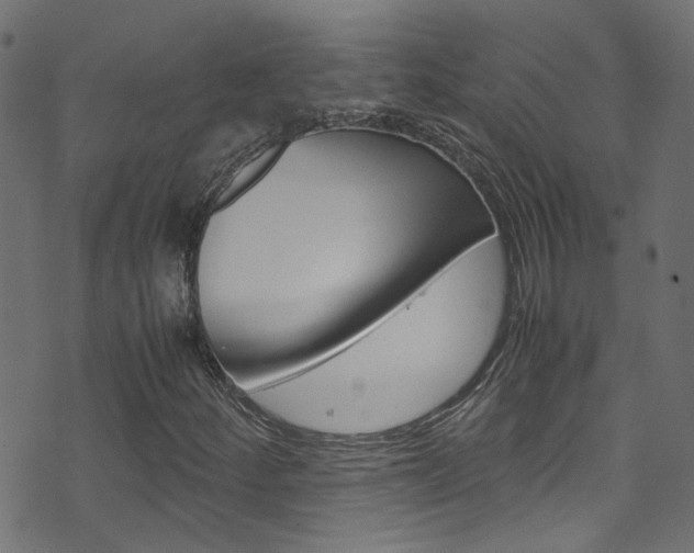 X0000071791252200606300933