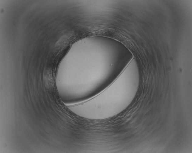 X0000071791298200606300932
