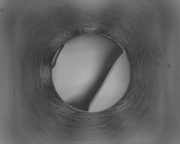 X0000071791299200606300932