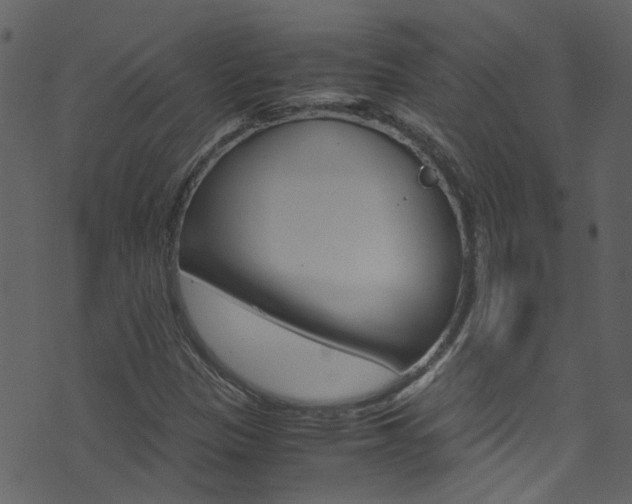 X0000071791305200606300932